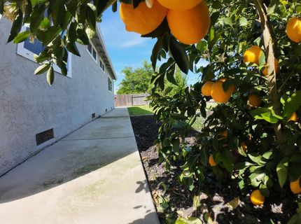 173 Bell Ave, Sacramento, CA 95838 Photo