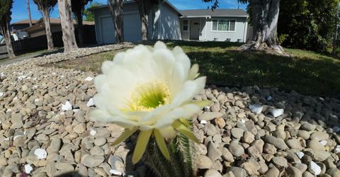 173 Bell Ave, Sacramento, CA 95838 Photo