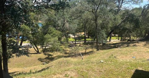 11770 Wade Ln #66, Valley Springs, CA 95252 Photo