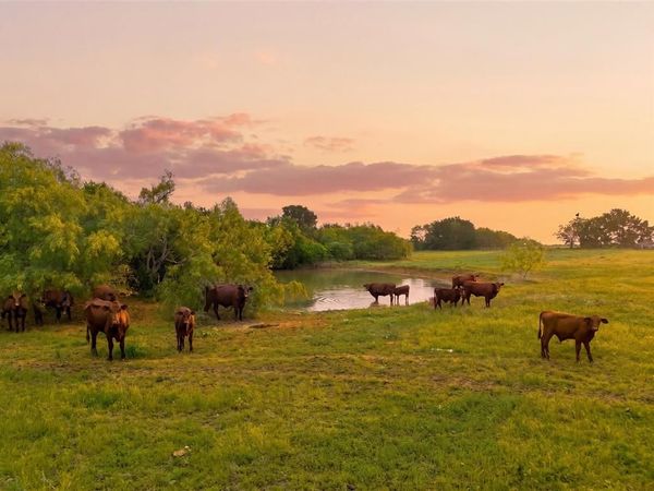 321 Hcr 2122 E, Whitney, TX 76692