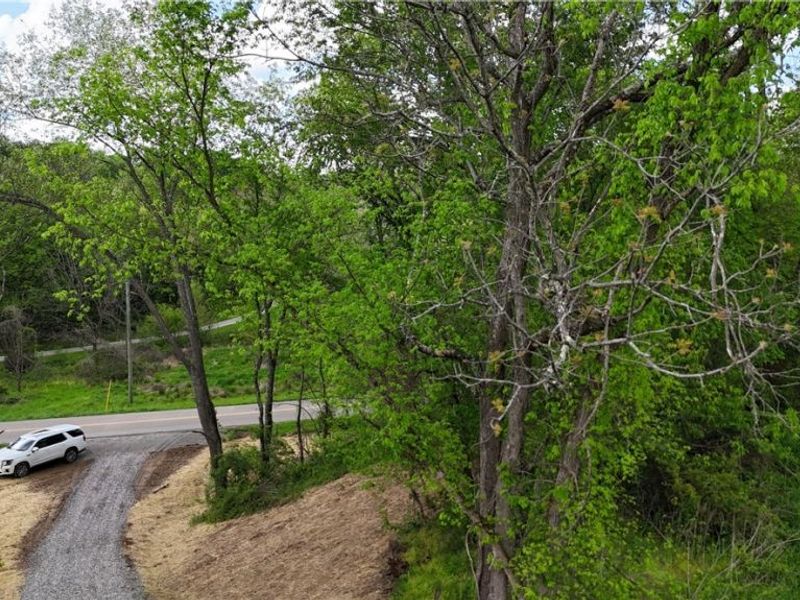 Morning Star Road, Racine, OH 45771 Photo 4