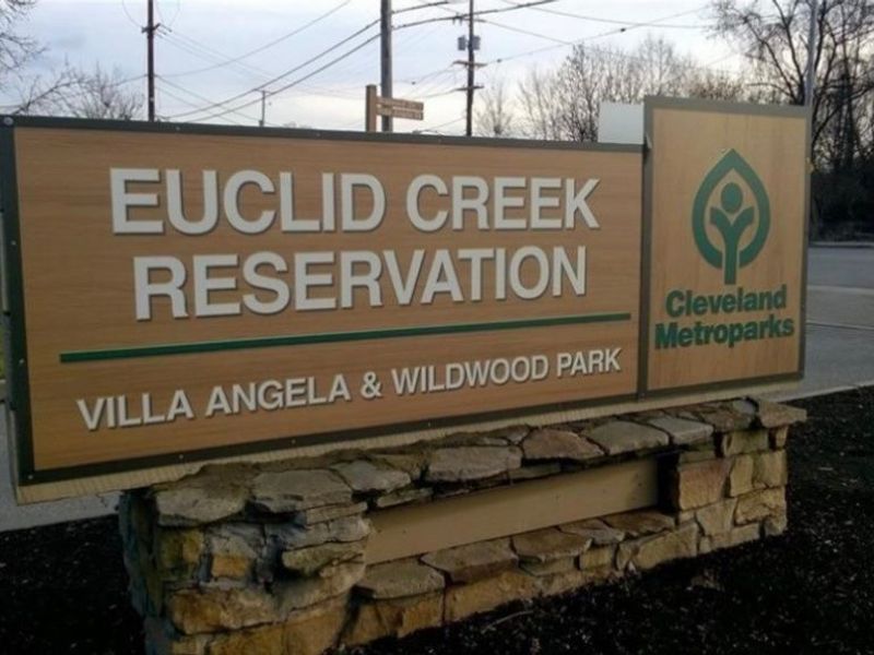 17583 Wildwood Lane, Cleveland, OH 44119 Photo 31