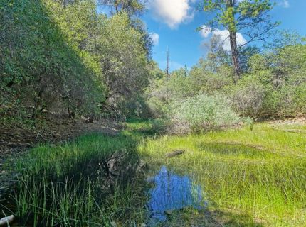 3501 Elysian Way, Placerville, CA 95667 Photo