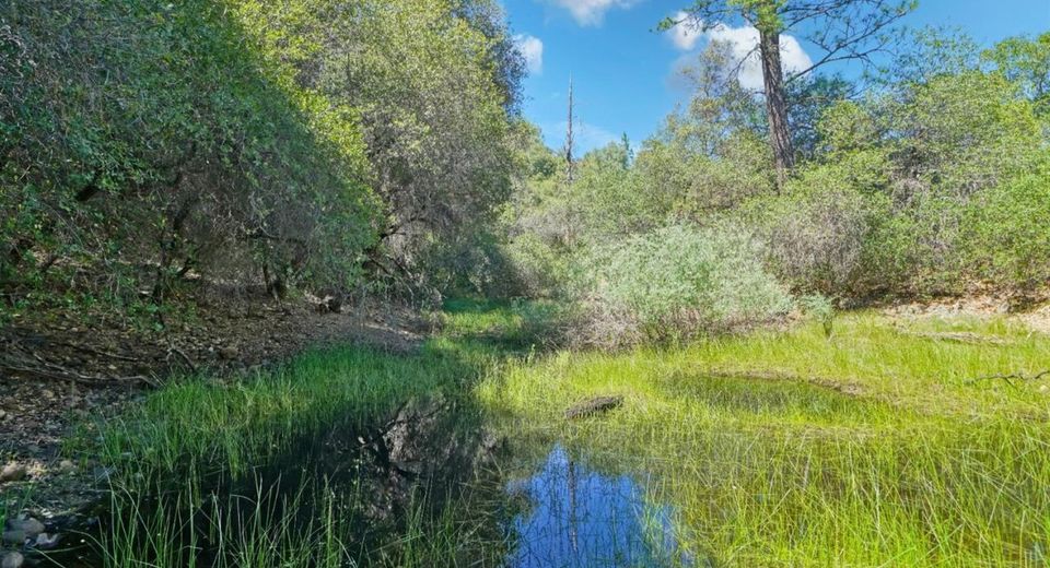 3501 Elysian Way, Placerville, CA 95667 Photo