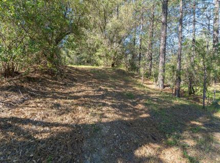 3501 Elysian Way, Placerville, CA 95667 Photo