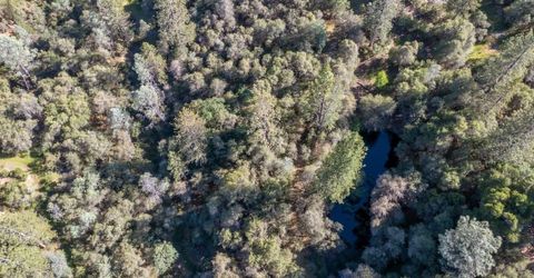 3501 Elysian Way, Placerville, CA 95667 Photo