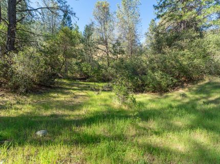 3501 Elysian Way, Placerville, CA 95667 Photo
