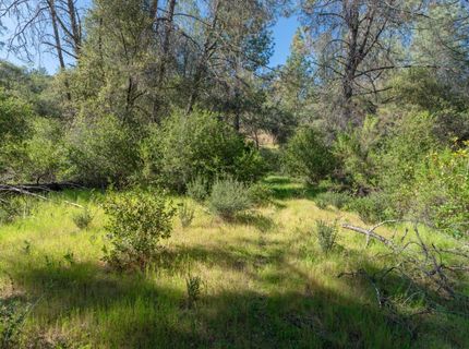 3501 Elysian Way, Placerville, CA 95667 Photo