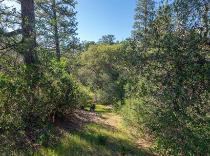 3501 Elysian Way, Placerville, CA 95667 Photo
