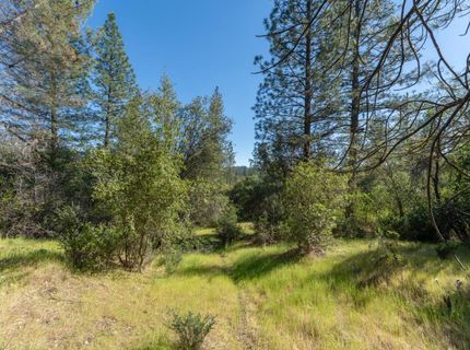 3501 Elysian Way, Placerville, CA 95667 Photo