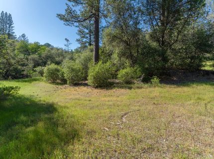 3501 Elysian Way, Placerville, CA 95667 Photo