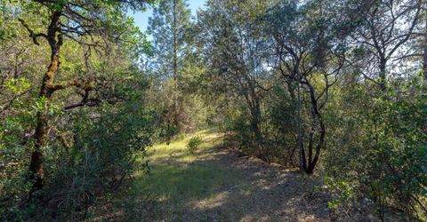 3501 Elysian Way, Placerville, CA 95667 Photo