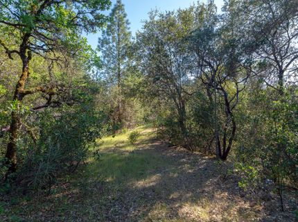 3501 Elysian Way, Placerville, CA 95667 Photo