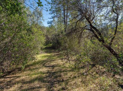 3501 Elysian Way, Placerville, CA 95667 Photo