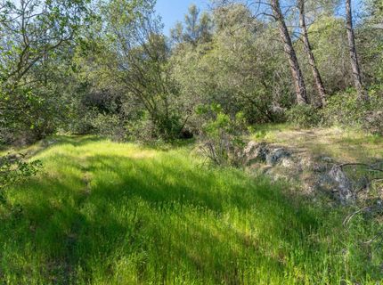 3501 Elysian Way, Placerville, CA 95667 Photo