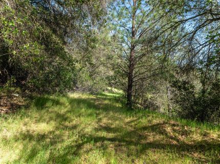3501 Elysian Way, Placerville, CA 95667 Photo