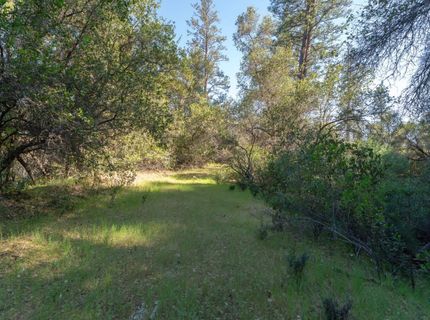 3501 Elysian Way, Placerville, CA 95667 Photo