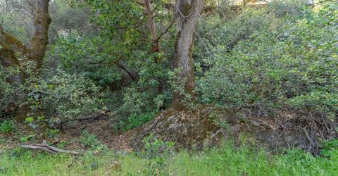 3501 Elysian Way, Placerville, CA 95667 Photo