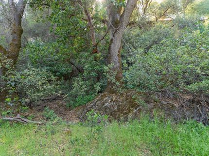 3501 Elysian Way, Placerville, CA 95667 Photo