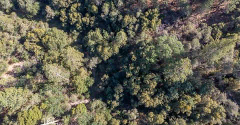 3501 Elysian Way, Placerville, CA 95667 Photo