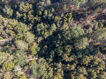 3501 Elysian Way, Placerville, CA 95667 Photo