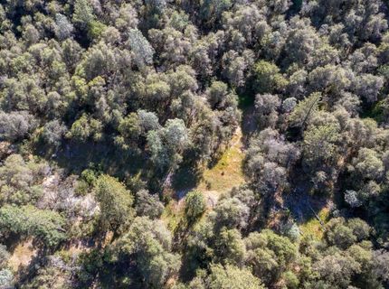 3501 Elysian Way, Placerville, CA 95667 Photo