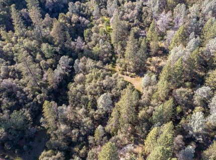 3501 Elysian Way, Placerville, CA 95667 Photo