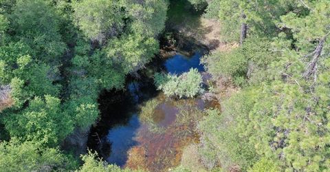 3501 Elysian Way, Placerville, CA 95667 Photo