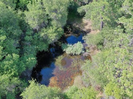 3501 Elysian Way, Placerville, CA 95667 Photo