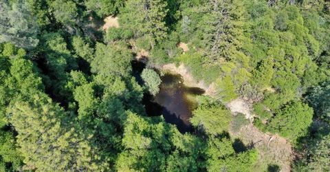 3501 Elysian Way, Placerville, CA 95667 Photo