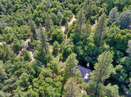 3501 Elysian Way, Placerville, CA 95667 Photo