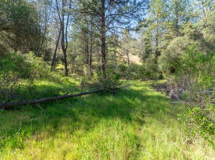 3501 Elysian Way, Placerville, CA 95667 Photo