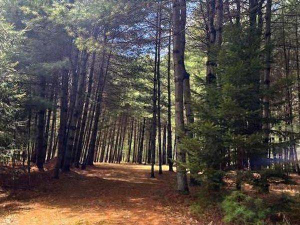 White Road , Glen Spey, NY 12737