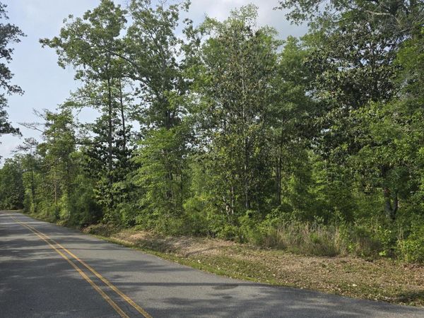 Summerlin Bayou Road, Vancleave, MS 39565