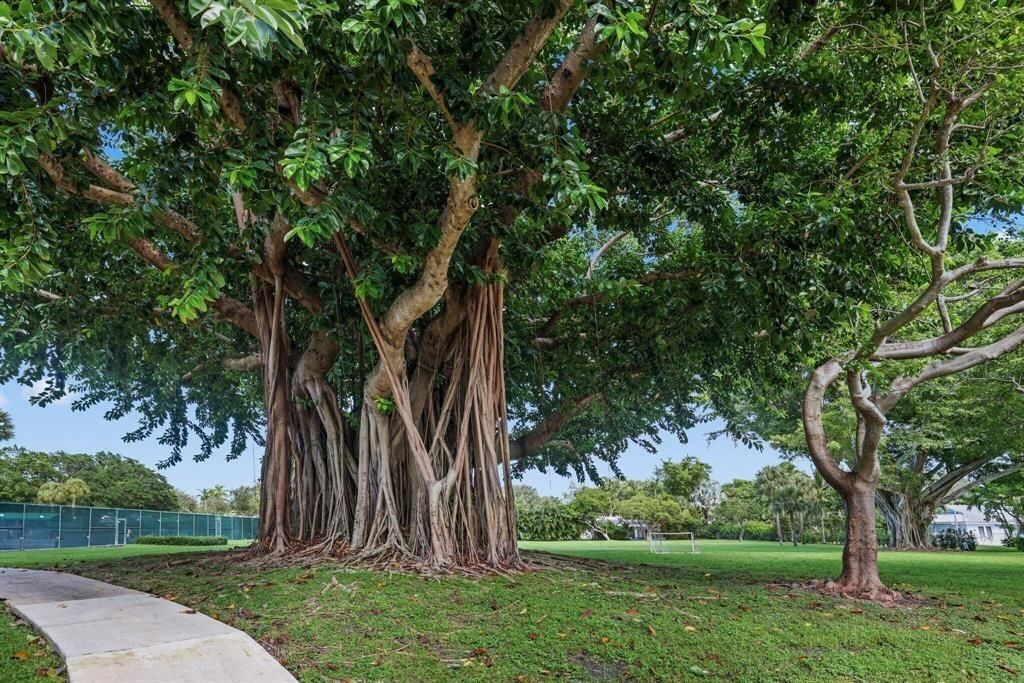 2804 Banyan Boulevard Circle Nw, Boca Raton, FL 33431 Photo