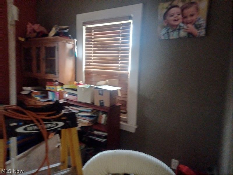 529 Dickson Street, Youngstown, OH 44502 Photo 10