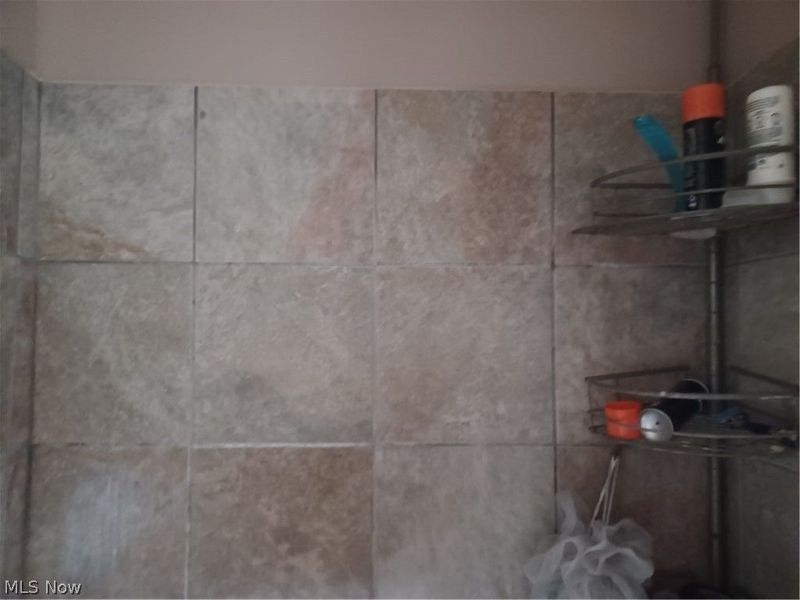 529 Dickson Street, Youngstown, OH 44502 Photo 5