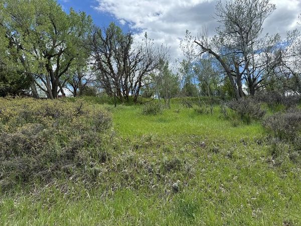 W Ryus, La Veta, CO 81055