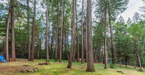 5342 Buttonwood Ct, Foresthill, CA 95631 Photo