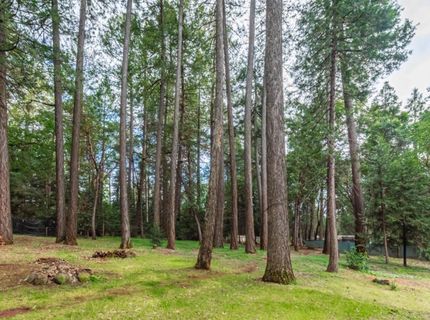 5342 Buttonwood Ct, Foresthill, CA 95631 Photo