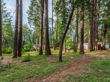 5342 Buttonwood Ct, Foresthill, CA 95631 Photo