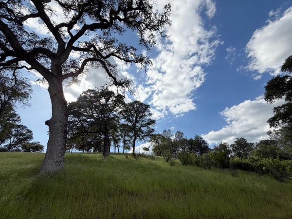 Spring Valley Rd, Plymouth, CA 95669
