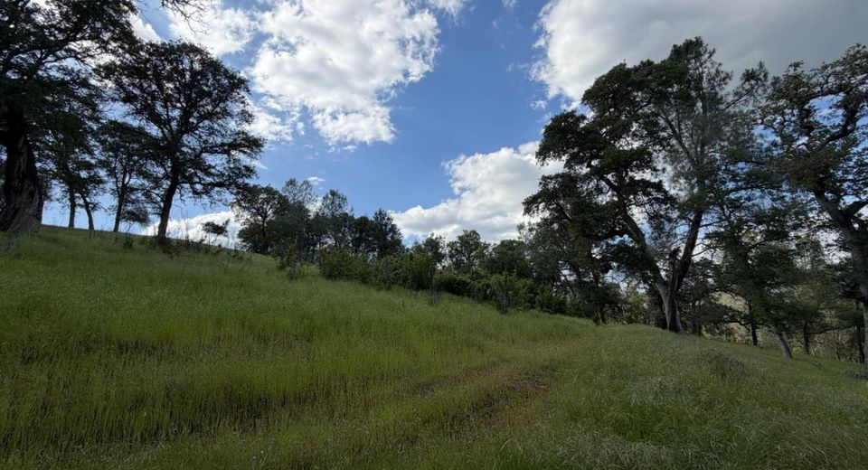 Spring Valley Rd, Plymouth, CA 95669 Photo