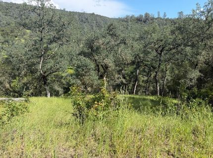 Spring Valley Rd, Plymouth, CA 95669 Photo