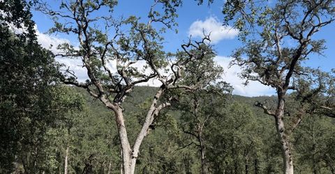 Spring Valley Rd, Plymouth, CA 95669 Photo