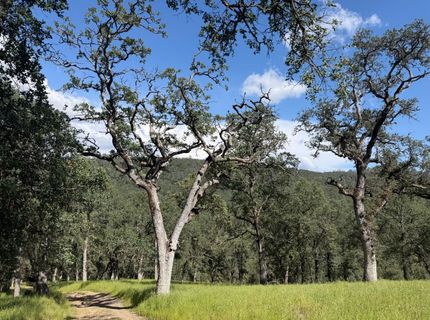 Spring Valley Rd, Plymouth, CA 95669 Photo