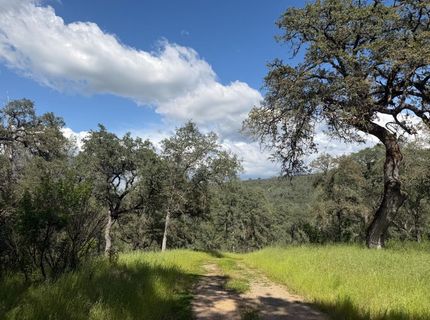 Spring Valley Rd, Plymouth, CA 95669 Photo