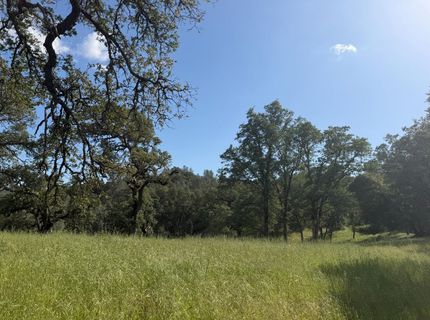 Spring Valley Rd, Plymouth, CA 95669 Photo