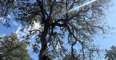 Spring Valley Rd, Plymouth, CA 95669 Photo