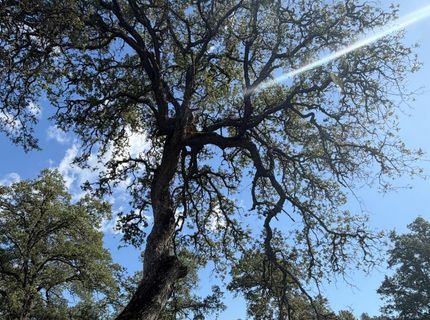 Spring Valley Rd, Plymouth, CA 95669 Photo